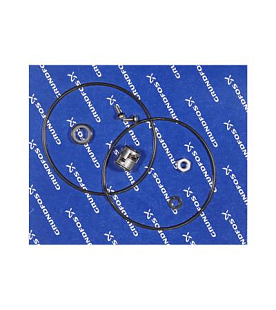 Seal Kit APxxB NBR Grundfos (96429307)