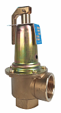 Boiler safety valve DUCO 1 1/2“ × 2“ 6 bar