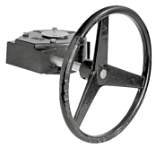 Worm Gear DN25-100 (ZD6N-S100)