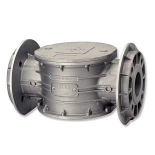 Gas Filter TECNOCONTROL GFD50, DN 50