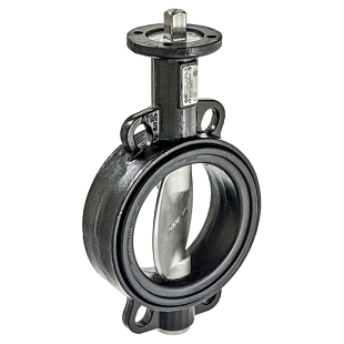 Wafer Butterfly Valve for Water Belimo D6125W